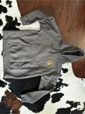 Seager Charcoal Gray Pullover Graphic Hoodie